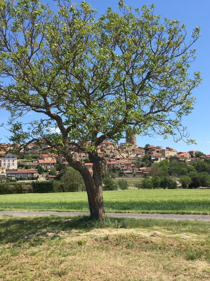 La Charmeraie Montpeyroux  Bagian luar foto