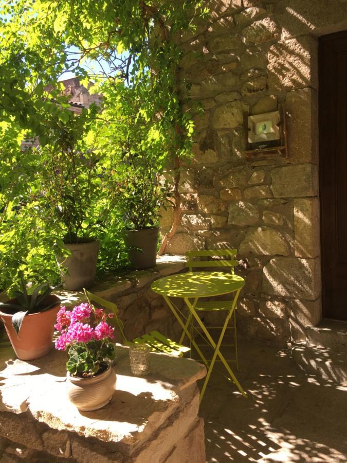 La Charmeraie Montpeyroux  Bagian luar foto