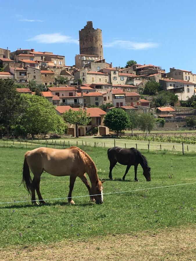 La Charmeraie Montpeyroux  Bagian luar foto