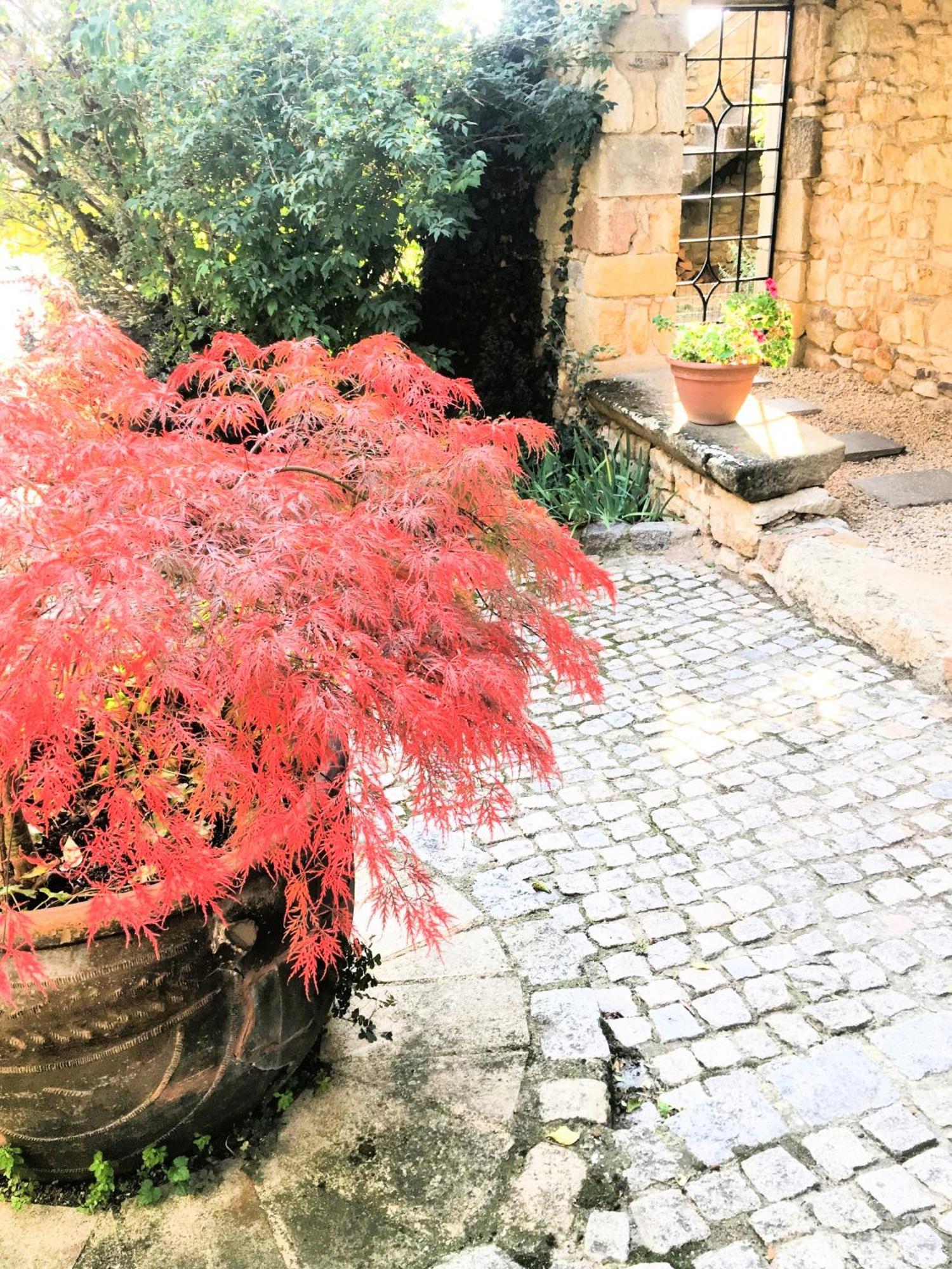 La Charmeraie Montpeyroux  Bagian luar foto